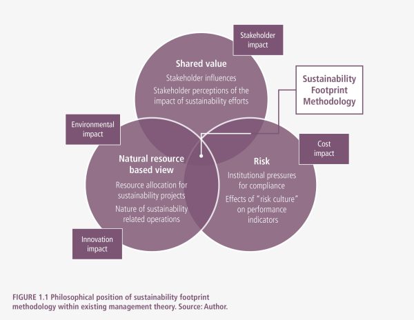 Sustainability Footprints in SMEs Strategy and Case Studies for Entrepreneurs and Small