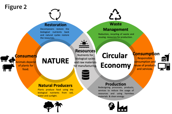 Circular Economy, Sustainability And Business Opportunities - The ...