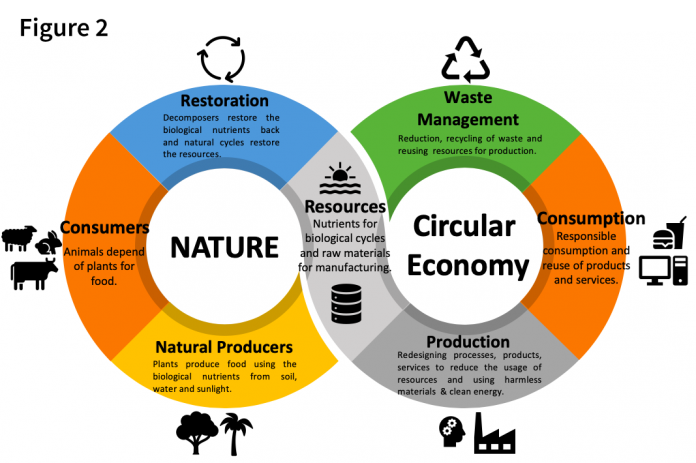 Circular Economy, Sustainability And Business Opportunities - The ...