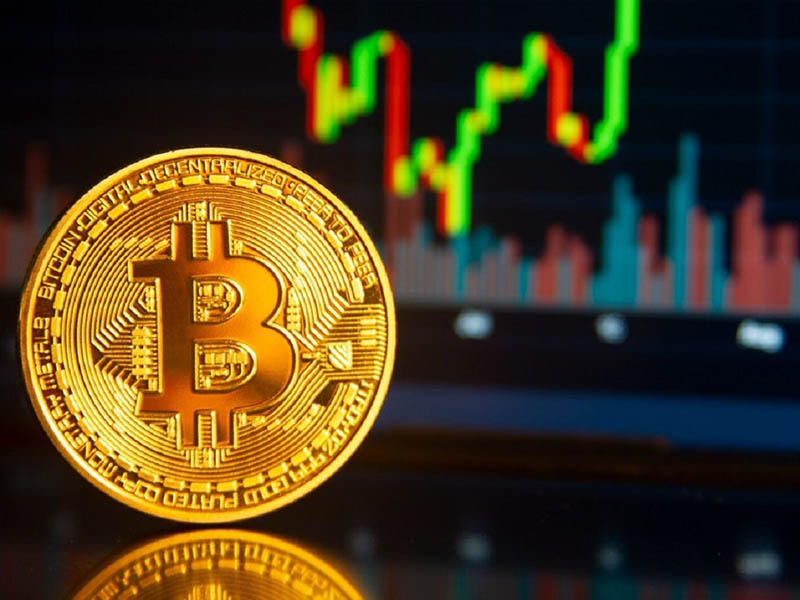bitcoin expert finance planning