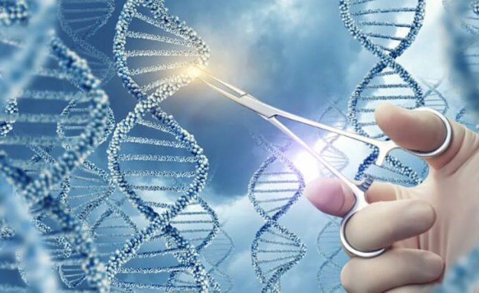 CRISPR Revolution