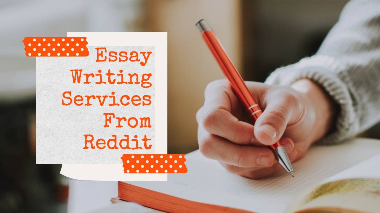 professional essay writers reddit