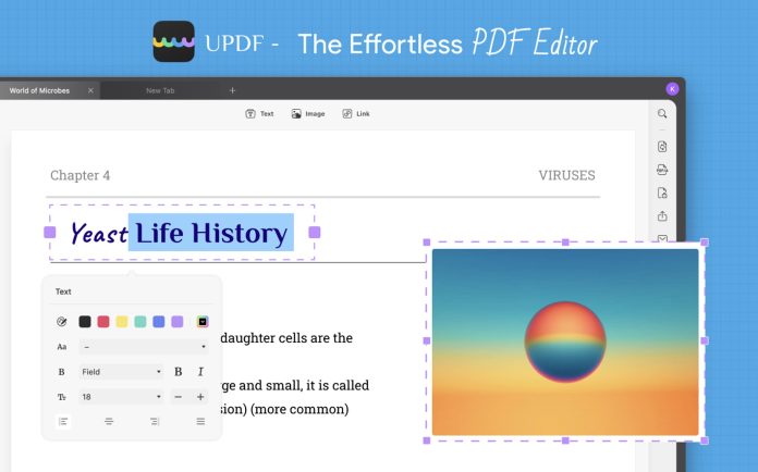 How to Edit a PDF without Adobe Acrobat