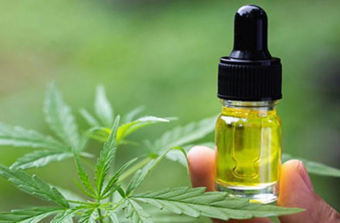 10 Amazing Health Benefits of CBD Oila