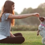 Puppy Training 101 Essential Skills for a Well-Behaved Pup