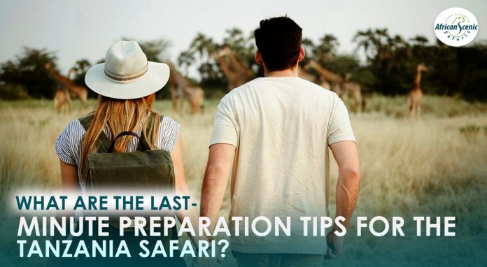 What Are the Last-Minute Preparation Tips for the Tanzania Safari