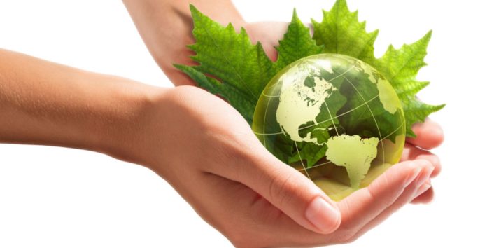 Sustainability-related Assurance and Reporting A Comprehensive Insight