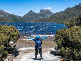 First Montague Island Tour