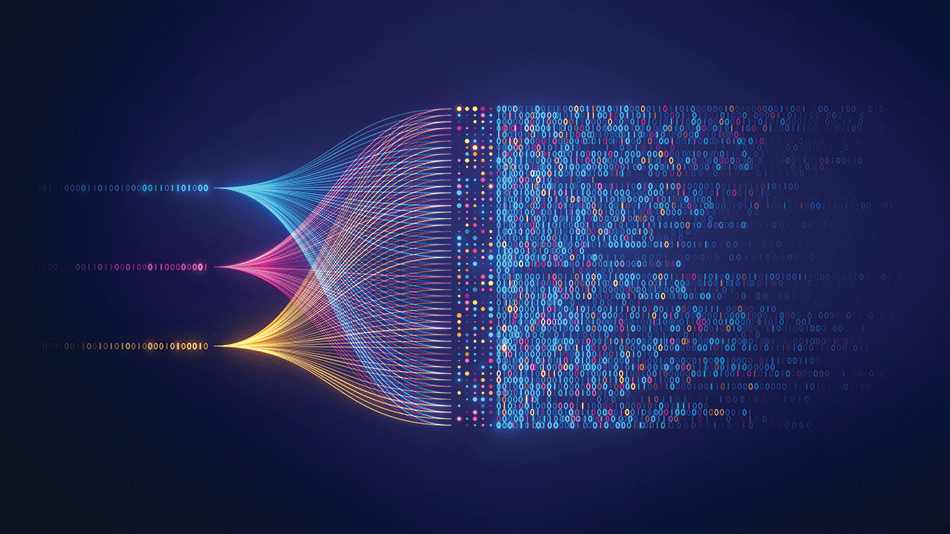 network-associated company risk factor 