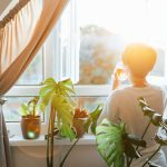 Back view woman drinking tea and looking at the sunrise or sunset while standing at the window in a room with green house plants, enjoying the moment.