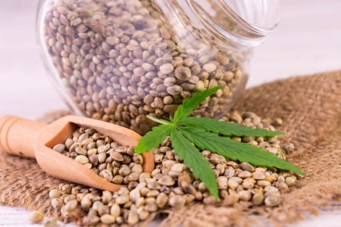 cannabis seed in a glass jar