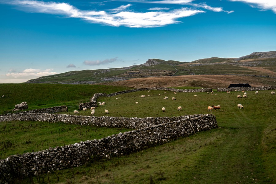 Yorkshire Dales