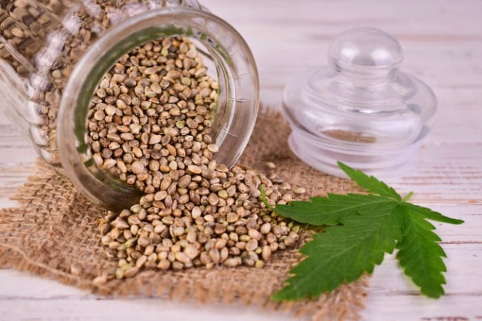 Cannabis seed in a jar