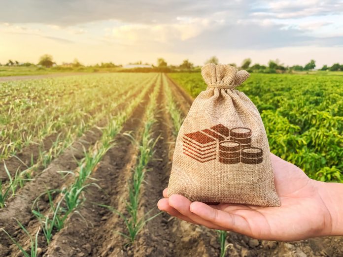 The farmer holds a money bag on the background of plantation