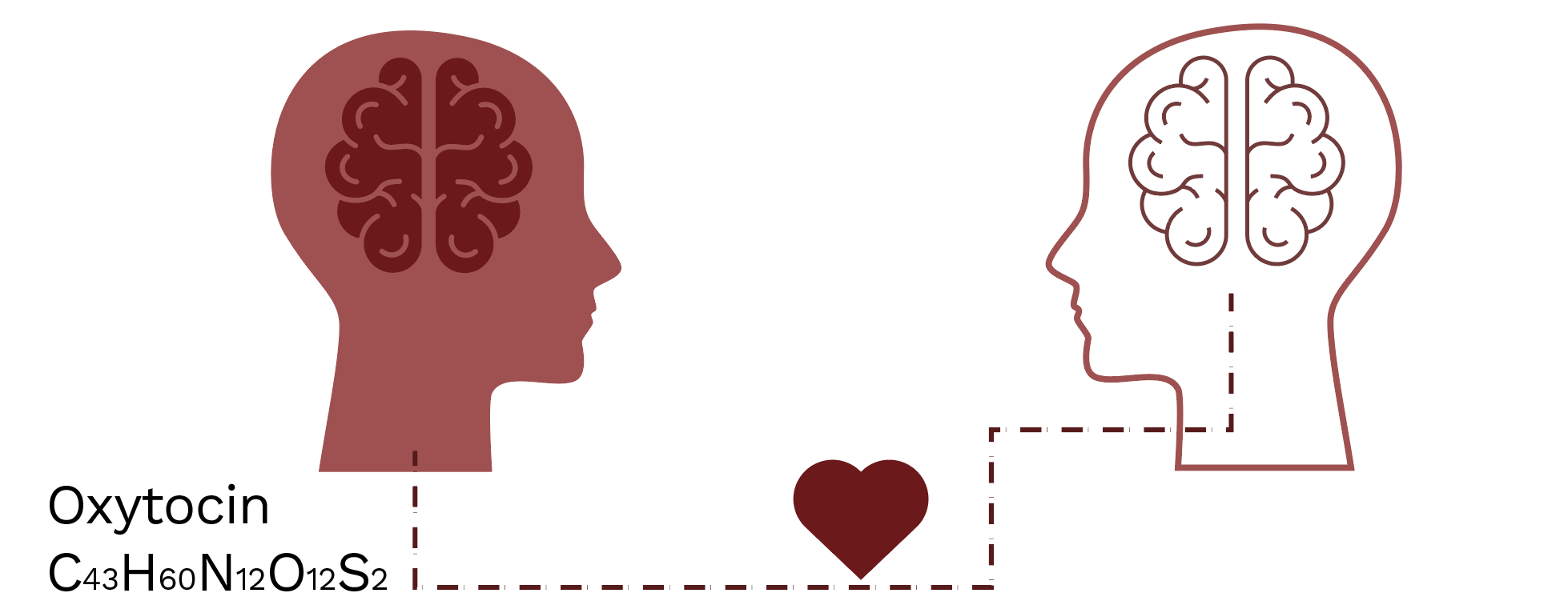 Figure_2_Oxytocin_the_hormone_of_love_and_trust