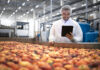 Technologist standing in food processing factory and checking quality of apple fruit.