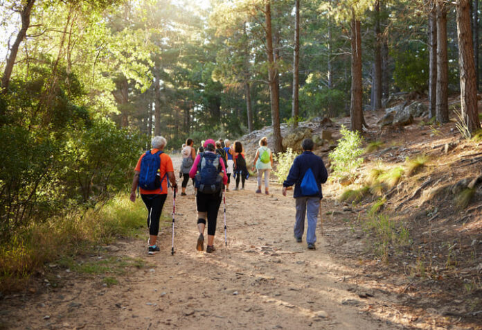 Hiking, nature and fitness with a group of people walking in the woods or forest for health and exercise