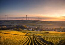 Structural shot of wind mills during day time