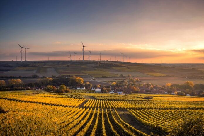 Structural shot of wind mills during day time