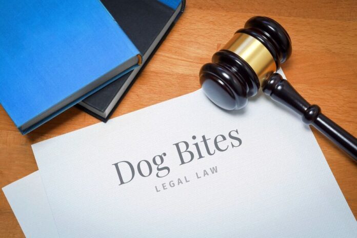 Dog bite legal law