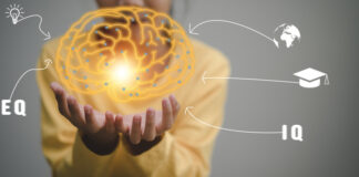 Train Your Brain