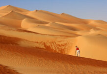 Photographing abstract patterns in the dunes of the Rub al Khali or Empty Quarter