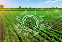 Agriculture technology farmer man using tablet computer analysis data and visual icon