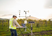 Agronomist using tablet computer collect data with meteorological instrument to measure the wind speed, temperature and humidity and solar cell system in grape agricultural field