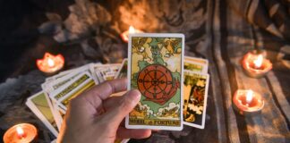 tarot reading