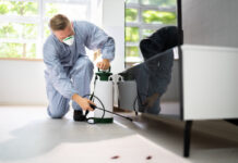 Pest Control Exterminator Services Spraying Insecticide