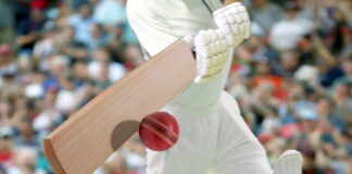 Cricket