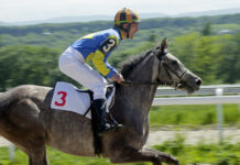 Horse racing in Russia