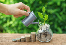 Search by image or video Stack of coins and growth sprout plant with hand watering as business finance or grow investment