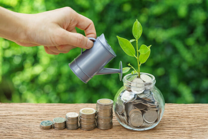 Search by image or video Stack of coins and growth sprout plant with hand watering as business finance or grow investment