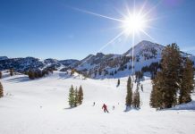 Alpine skiing at Alta Resort, Utah