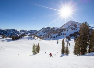 Alpine skiing at Alta Resort, Utah