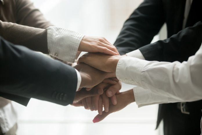 Diverse business team holding pile of hands promising loyalty