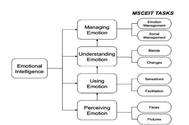Misceit task